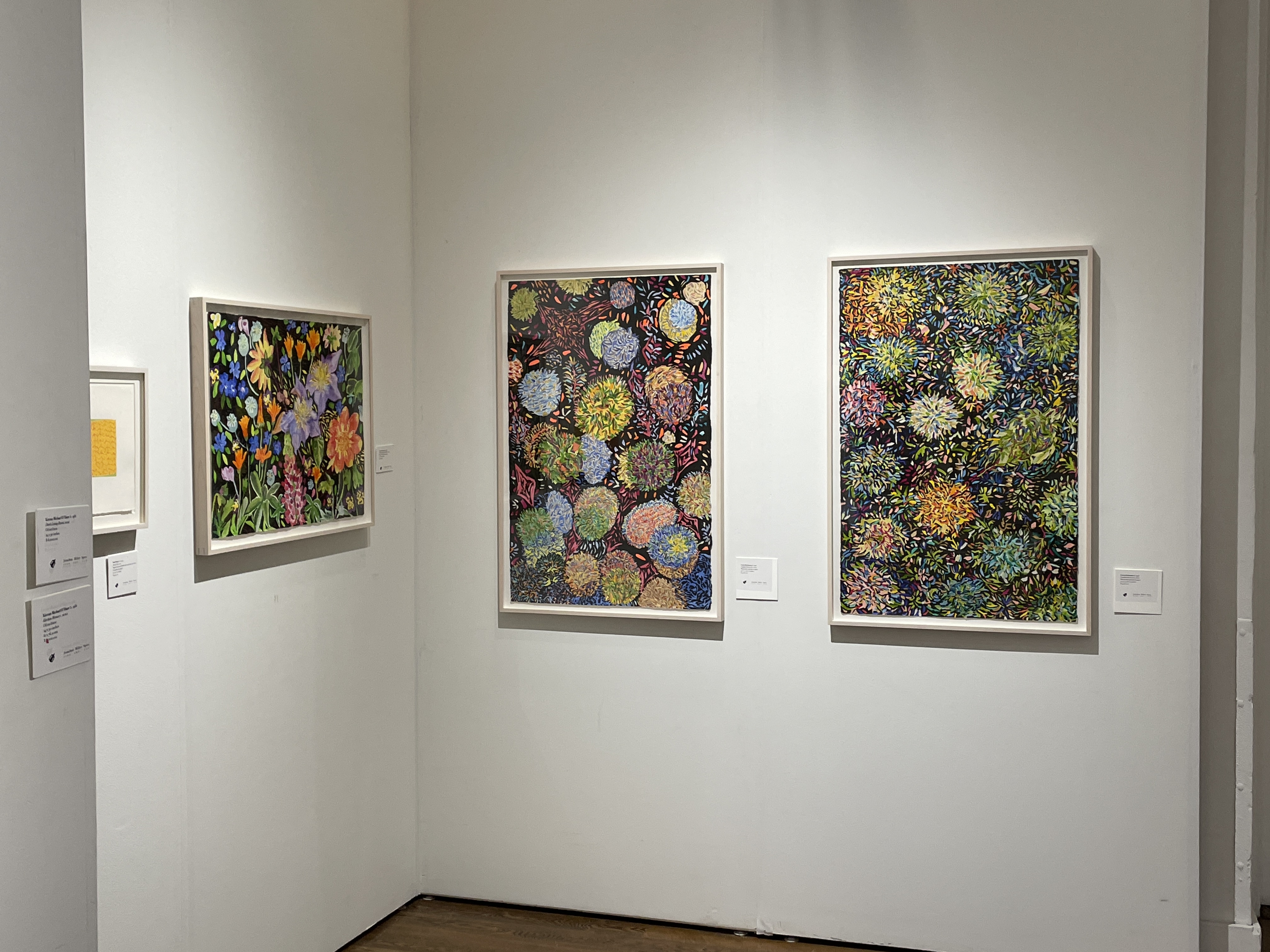 Carrie Beckmann Fireworks 2023