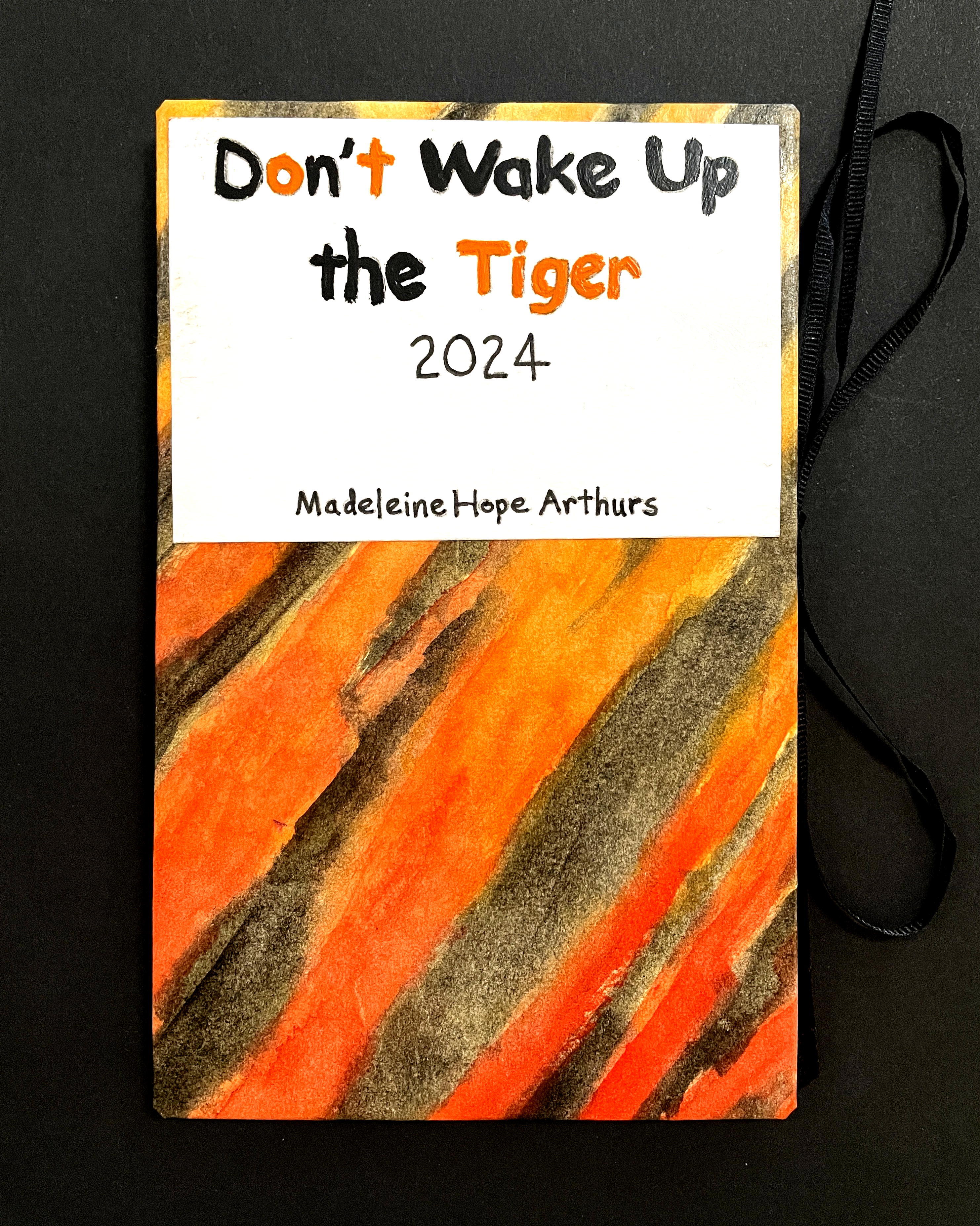 1.madeleine hope arthurs Don't Wake Up the Tiger cover